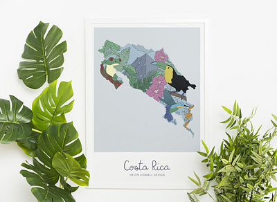 Costa Rica arenal central america costa rica frog hummingbird latin america map toucan travel wildlife