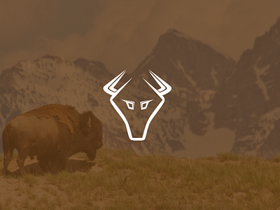 Logo + Branding: Bison & Co.