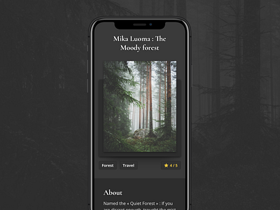 The Moody Forest - Mika Luoma