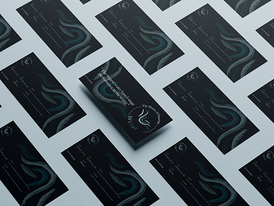 Visual Identity - The House of Dancing Water branding graphic design illustrator photoshop
