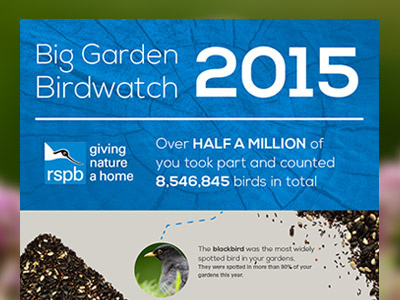 Birdwatch 2015 blue infographic nexa seeds wood