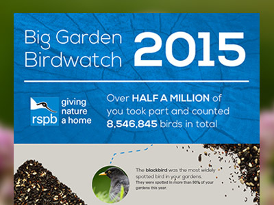 Birdwatch 2015