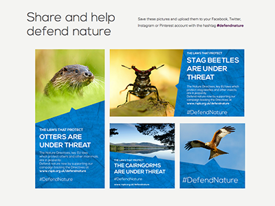 Defend Nature texture campaign rspb nature blue nexa bold nexa light