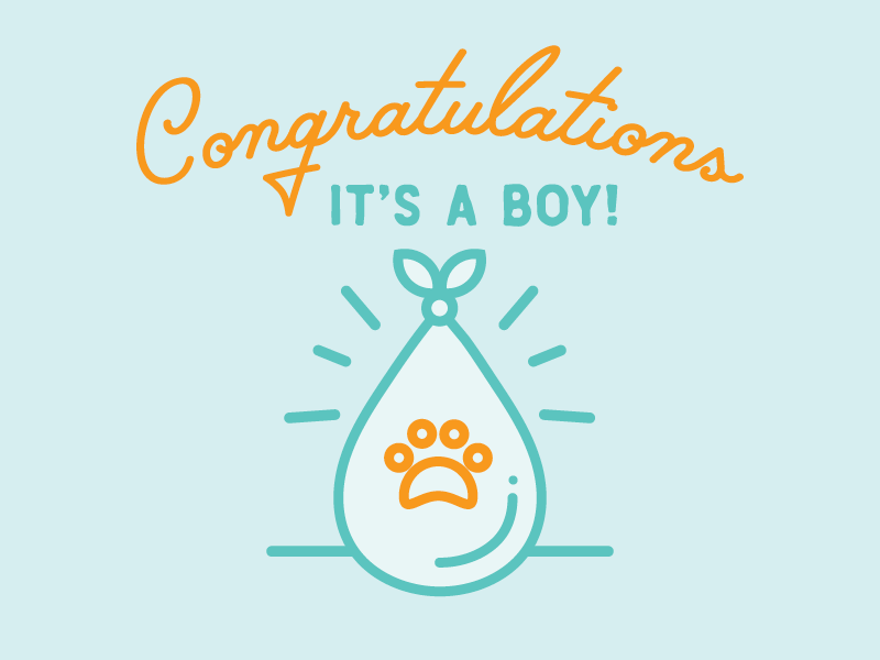 Congrats, it's a cat! paw stork illustrator illustration simple congrats card baby kitten cat