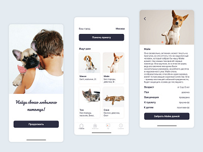 Mobile app pet shelter app design pets ui