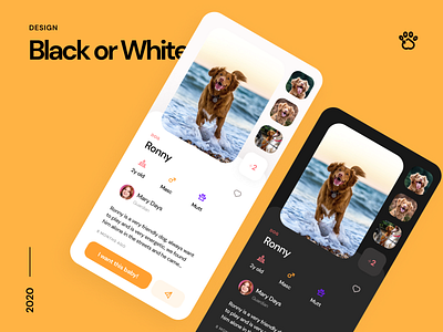 Adota Pet - Black or White? adopt app black ui clean mobile pet ui ui design