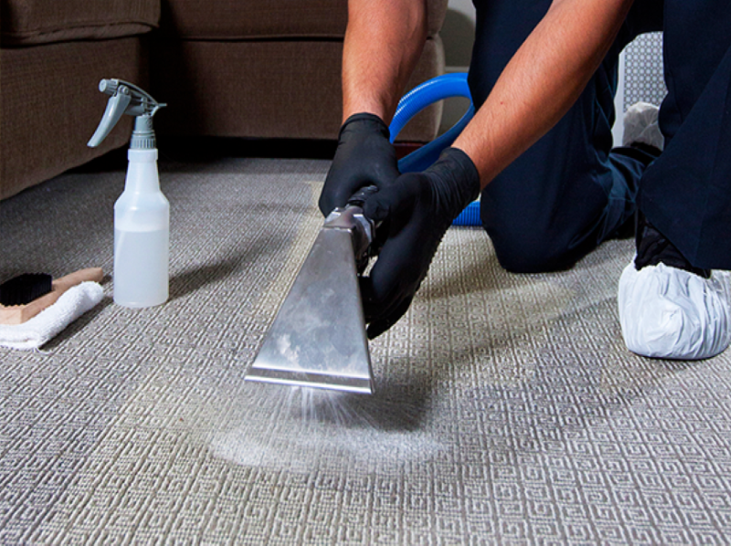 Best Carpet Cleaning Services in Bangalore Aquuamarine by Aquuamarine