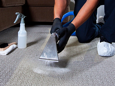 Best Carpet Cleaning Services in Bangalore | Aquuamarine