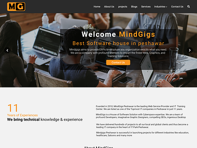 Mindgigs Website Web Design #website app design dailyui landing page user experience userinterface web ui website web design