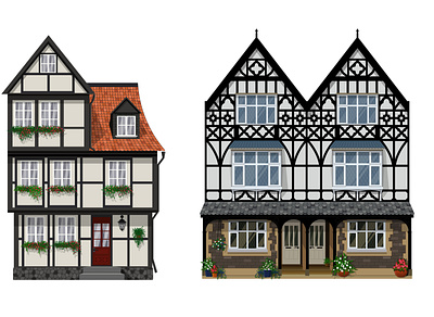 Classic half timbered German houses architecture illustration vector