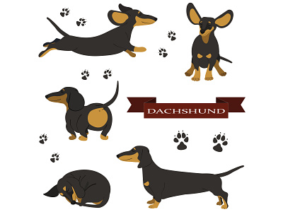 Funny dachshunds in different poses dog duchshund element illustration logo puppy