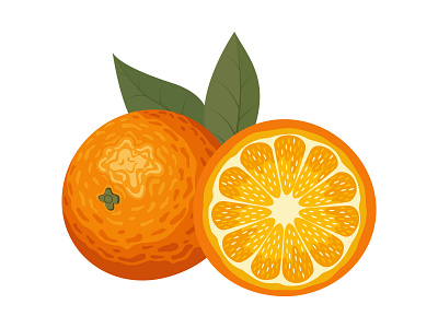 Orange element fruit illustration logo orange