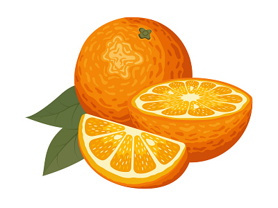 Orange element fruit illustration logo orange