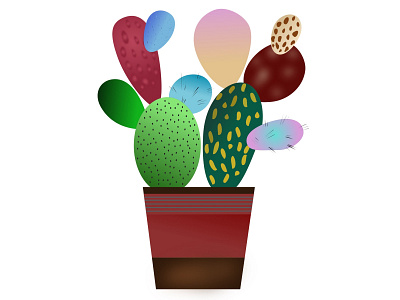 Pokki cactus adobe photoshop cactus icon illustrations illustrator ios