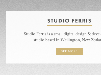 Studio Ferris W.I.P 2 css ferris flat html studio typography