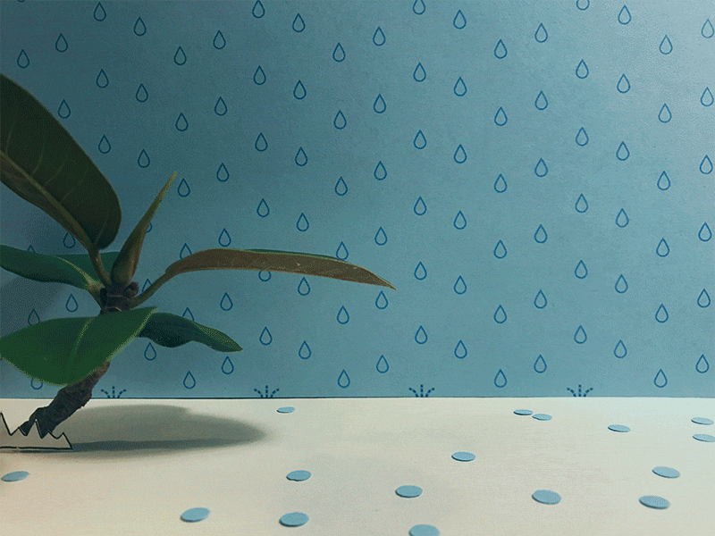 Lil' Pebblito Seeks Shelter animation paper pebble rain stop motion
