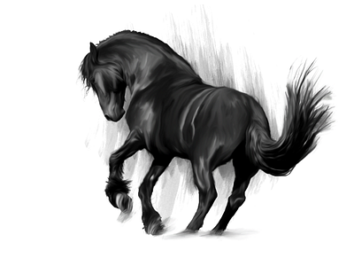 Horse Black White Sketch birthday gifts black white design digitalsketch horse illustration sketch