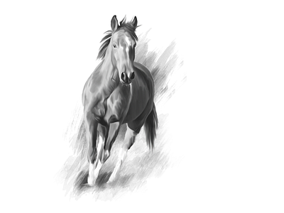 Horse Sketch birthday gifts black white design digitalsketch horse illustration sketch