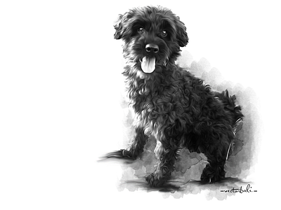 dog sketch black white