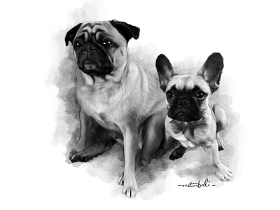 dog sketch black white birthday gifts black white design digitalsketch dogs illustration sketch