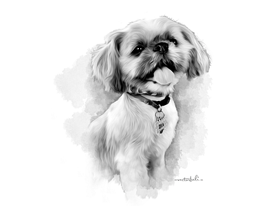 dog sketch black white birthday gifts black white design digitalsketch dog dogs illustration sketch