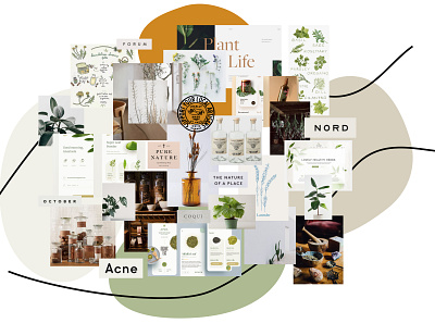 Herbal Mood board inspiration moodboard uidesign visualdesign visualdesigner visualinspiration
