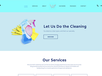 Angel Wings Cleaning Services branding design illustration logo web website
