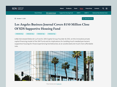 Landing Page - SDS Capital Group [3]