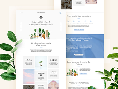 Beauty products store Webdesign beauty brand cosmetics ecommerce landing page online plant product store webdesign website