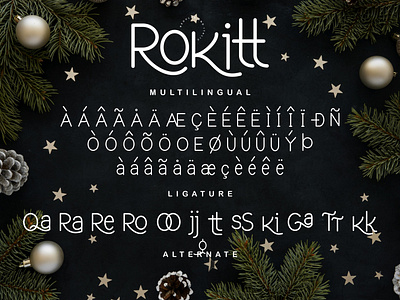 Rokitt Monoline Sans Serif Font By Letterena Studios On Dribbble