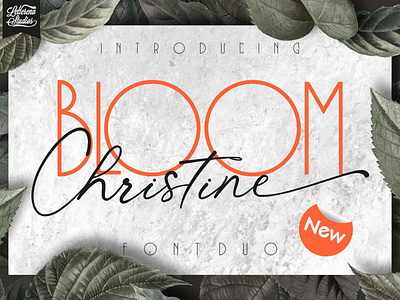 BLOOM Christine branding design font font design fonts icon illustration lettering logo script font typography