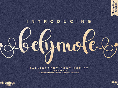 belymole- Beautiful Lovely Script Font apparel font branding design font font design fonts icon illustration lettering logo script font typography