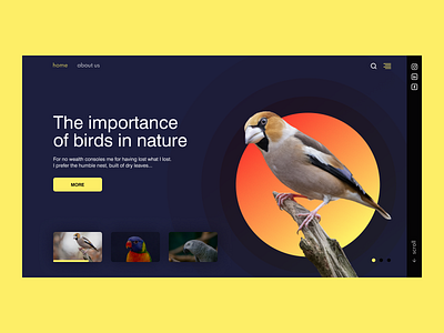 Birds 🐦 design interface ui uidesign uiux web webdesign website