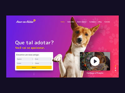 Amor em Adotar 🐶🐱 design interface ui uidesign uiux web webdesign website