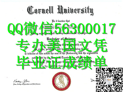 Q微56300017找工作办美国Cornell文凭康奈尔大学留信学历认证毕业证文凭成绩单/申请Cornell留信学历认证录取通知