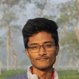 Alvi
