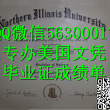 Q微56300017找工作办美国NIU文凭北伊利诺伊大学留信学历认证毕业证文凭成绩单/申请NIU留信学历认证录取通知书学生卡Northern Illinois University diploma, 