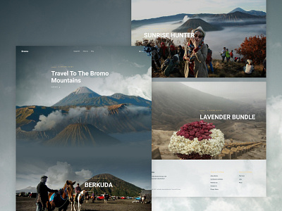 Bromo Mountain Website