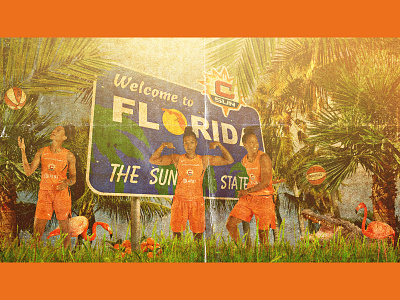 WELCOME TO FL basketball connecticut sun creative design florida graphic design photoshop social media wnba