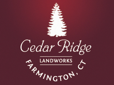 Cedar Ridge branding cedar connecticut design farmington connecticut graphic design identity logo print red tree typography