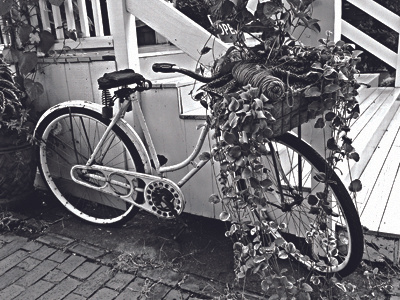 Bike Plant