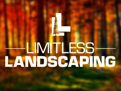 Limitless Landscaping branding fall forest logo trees tress typography