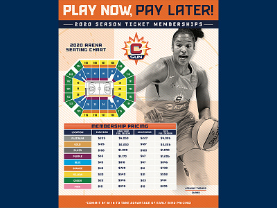 Play Now - Pay Later Flyer basketball connecticut connecticut sun design digital flyer graphic design new england sun typography wnba