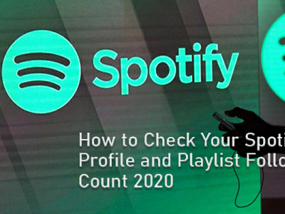 how to check your spotify color palette