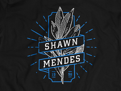 Shawn Mendes apparel graphic design merch music