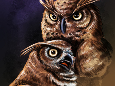 Buhos Owls