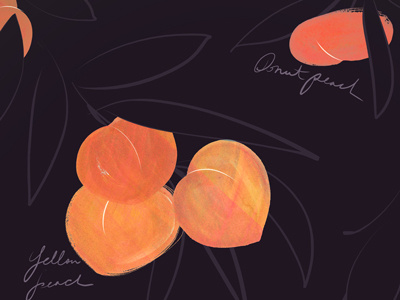 Peaches Redo dark donut fruit gouache handwriting illustration peach