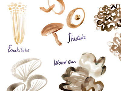 Mushrooms asian editorial enokitake illustration maitake mushrooms oyster spot wood ear