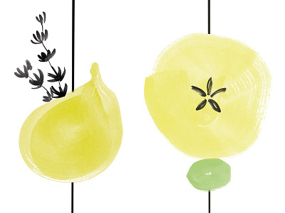 Garnish Sketch apple cocktail fig food fruit herb olive thyme