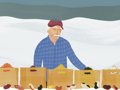 Remedy Quarterly . At the Farmer's Market beans editorial farmers market food illustration illustration legume portrait